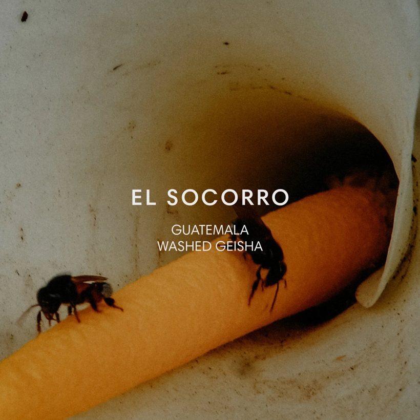 El Socorro Gesha — a recent add-on