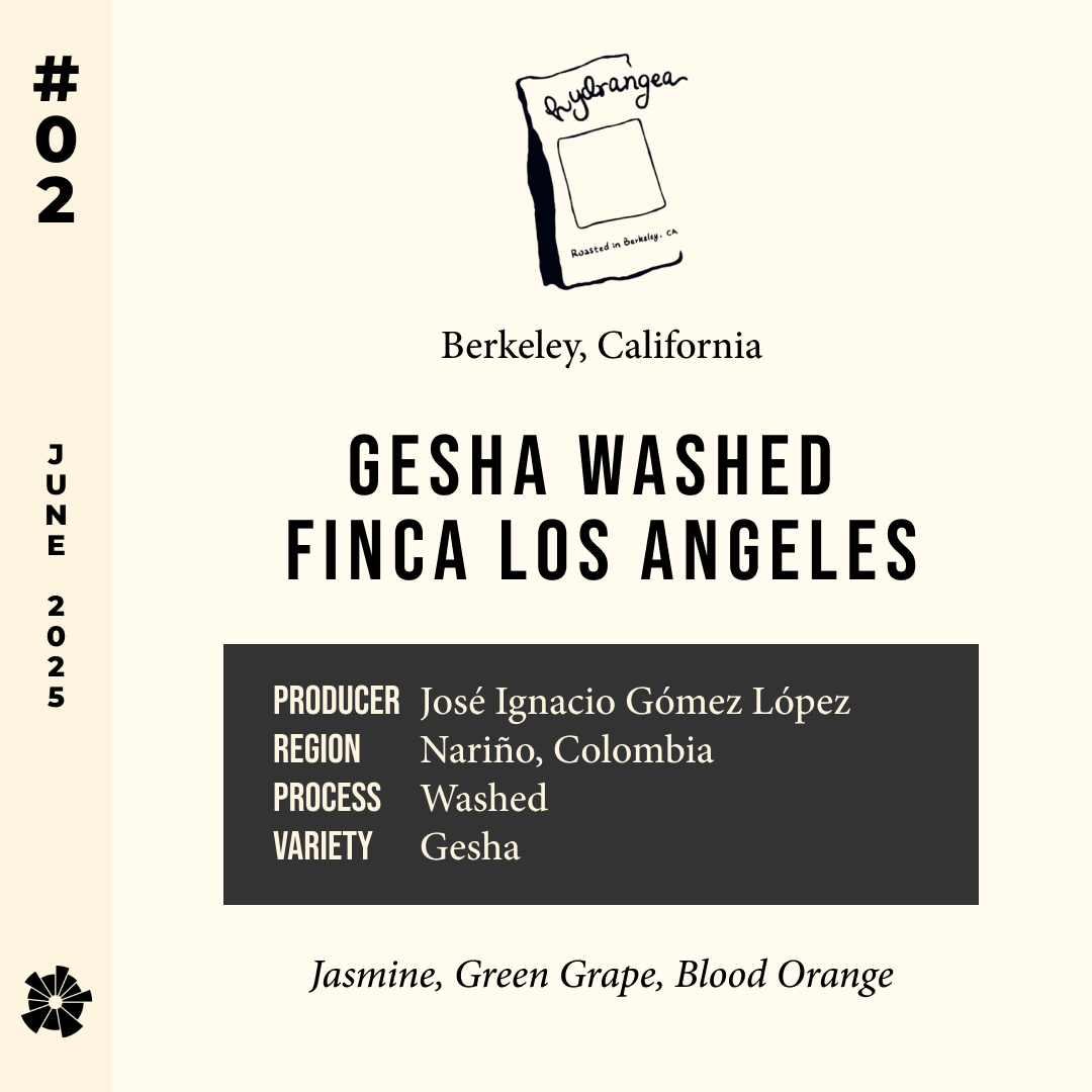 Volume 8, June 2025 — feature #02