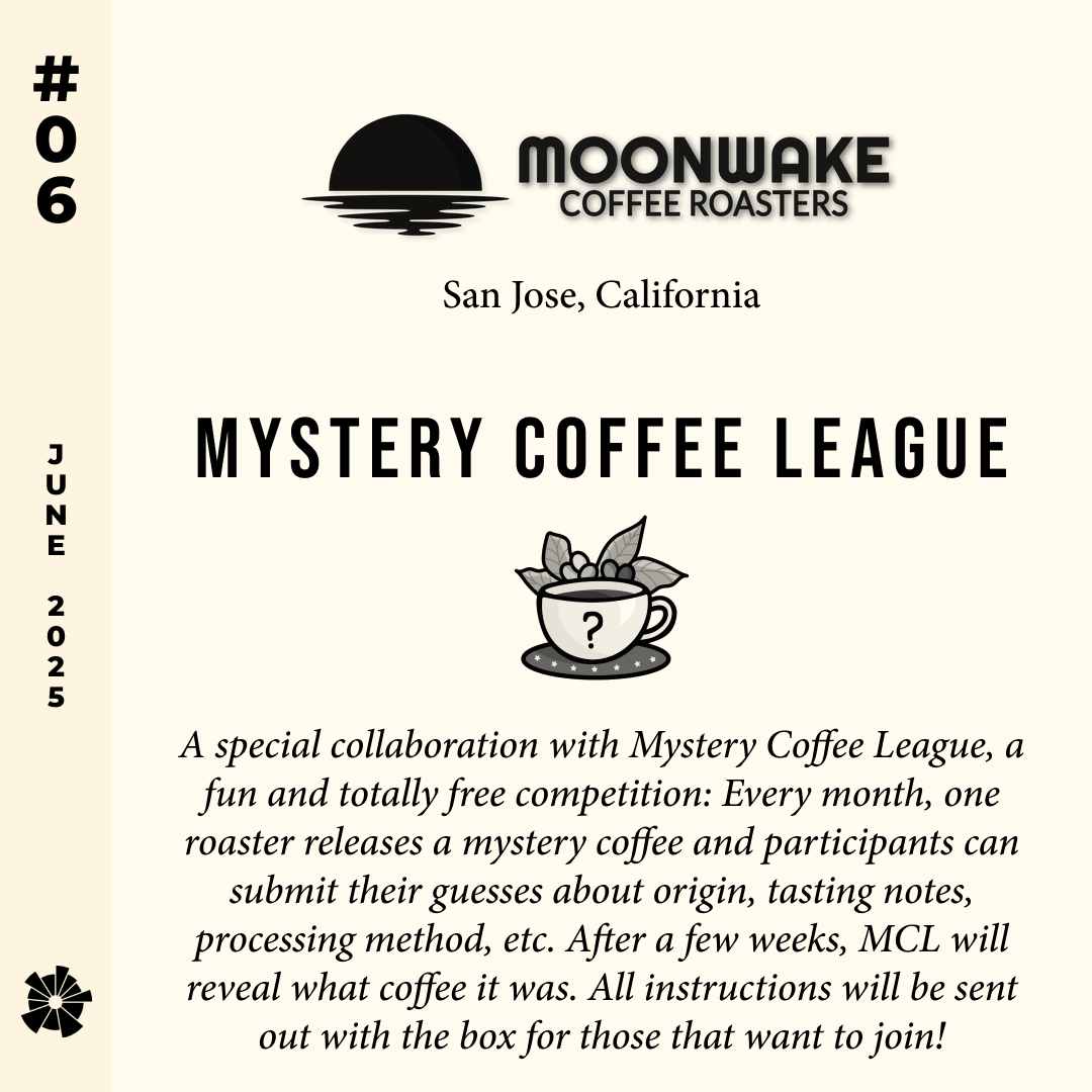 Volume 8, June 2025 — feature #06