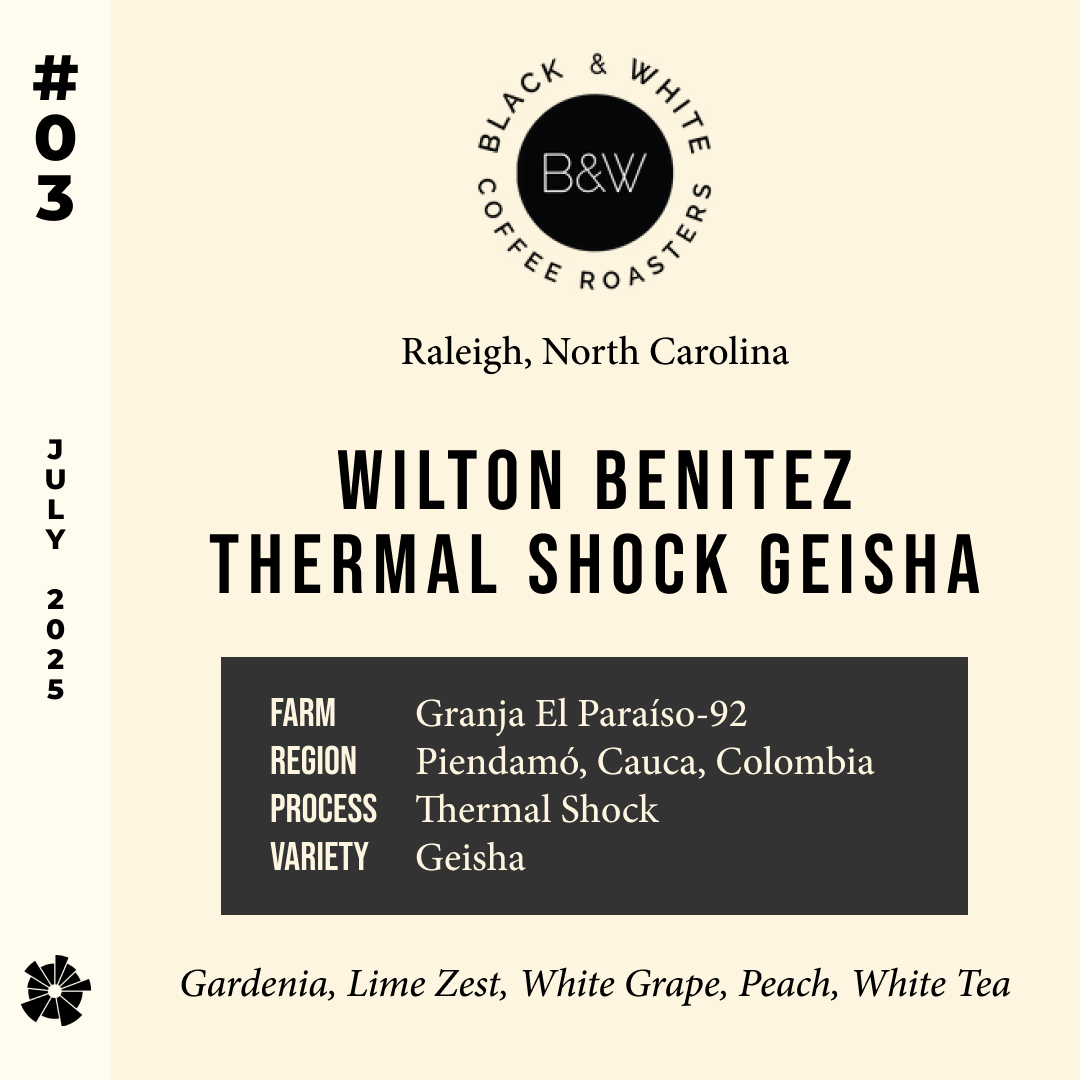 Volume 9, July 2025 — feature #03
