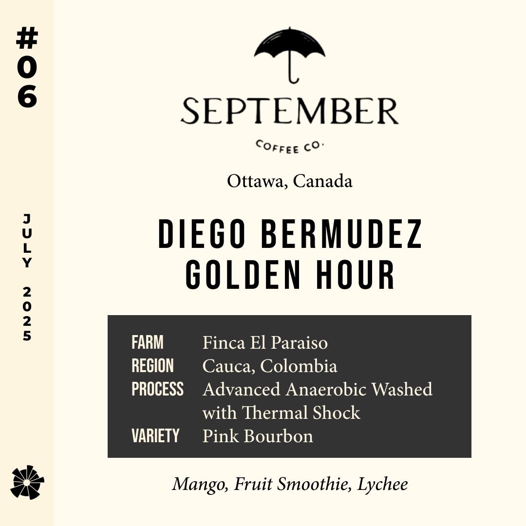 Volume 9, July 2025 — feature #06