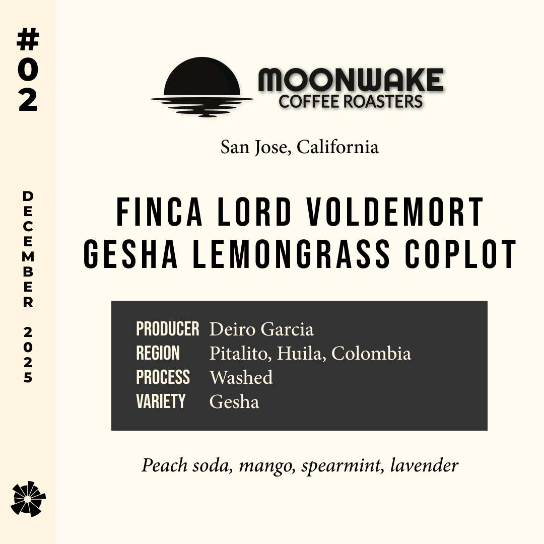 Volume 14, December 2025 — feature #02
