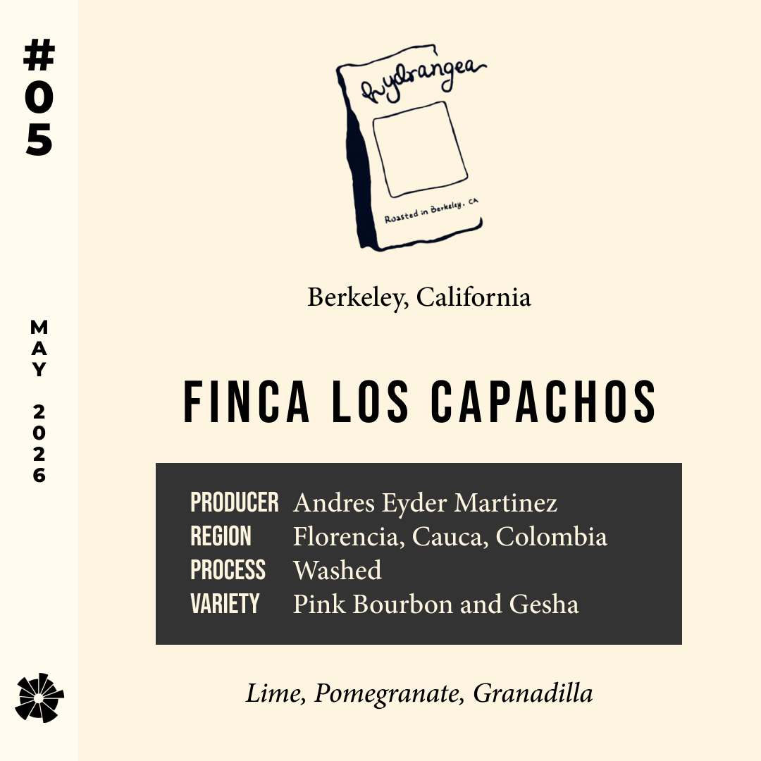 Volume 19, May 2026 — feature #05